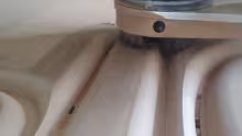 Engraving wood